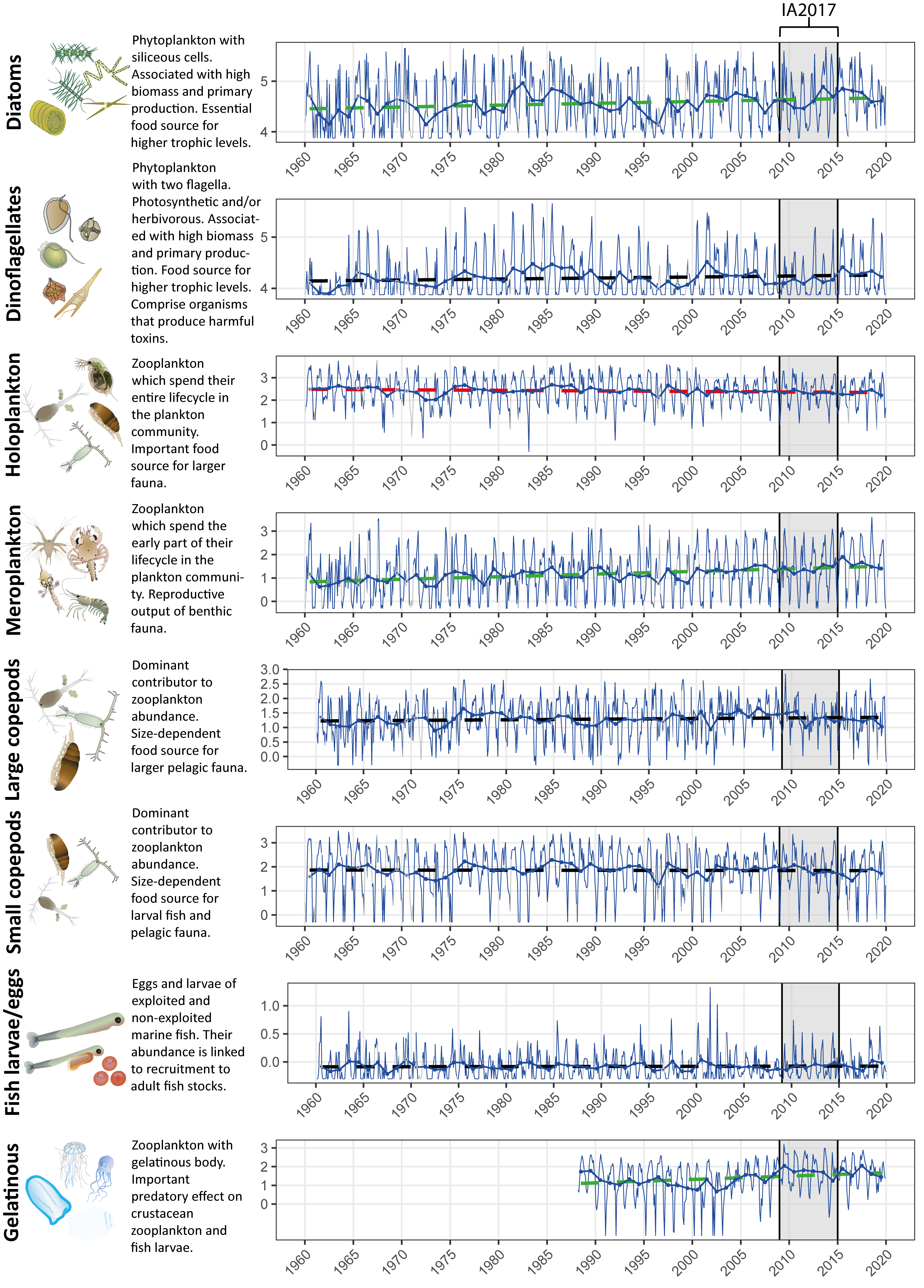 Figure 1: Long term monthly and annual log10 transformed abundance time-series for eight plankton lifeforms in the Western Channel. Blue lines display monthly variability (thinner line), and annual mean abundance (thicker line) values. Dashed lines indicate linear trend lines in annual abundance without any inference on statistical significance. The Kendall trend test is used to infer significance of trends, with red: decreasing trend, green: increasing trend, and black: no trend. Data obtained from the Continuous Plankton Recorder (CPR) survey and Plymouth Marine Laboratory (for gelatinous zooplankton only due to non-quantitative capture of gelatinous taxa by CPR). The shaded region represents the time period of IA2017. Plankton images courtesy of the Integration and Application Network, University of Maryland Center for Environmental Science (ian.umces.edu/symbols/).