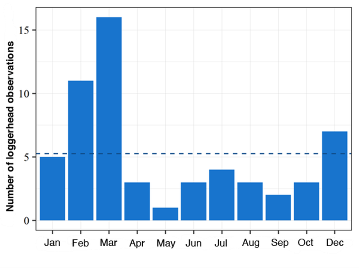 Figure 1: Monthly records of loggerhead turtles in French waters and coast from the CESTM database for the period 2014-2019 (n=58). The blue dotted line represents the average number of records.