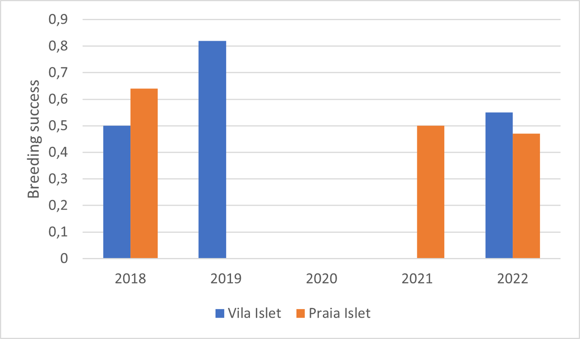 Figure 2: Breeding success of Macaronesian shearwater in Vila (blue) and Praia (orange) islets, located in Azores (Region V). No historical information is available for the species. Figure 2: Breeding success of Macaronesian shearwater in Vila (blue) and Praia (orange) islets, located in Azores (Region V). No historical information is available for the species.