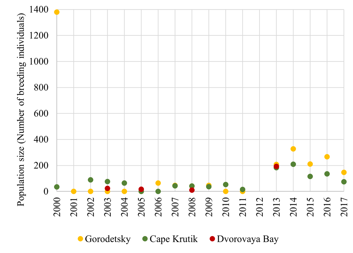 Figure 7: Population trends at the three BRGU colonies in Russia (Gorodetsky,, Cape Krutik and Dvorovaya Bay) along the Murman coast between 2000 – 2017. Numbers represent the total number of individuals in study plots. Population estimates are from Ezhov (2019). Figure 7: Population trends at the three BRGU colonies in Russia (Gorodetsky,, Cape Krutik and Dvorovaya Bay) along the Murman coast between 2000 – 2017. Numbers represent the total number of individuals in study plots. Population estimates are from Ezhov (2019).
