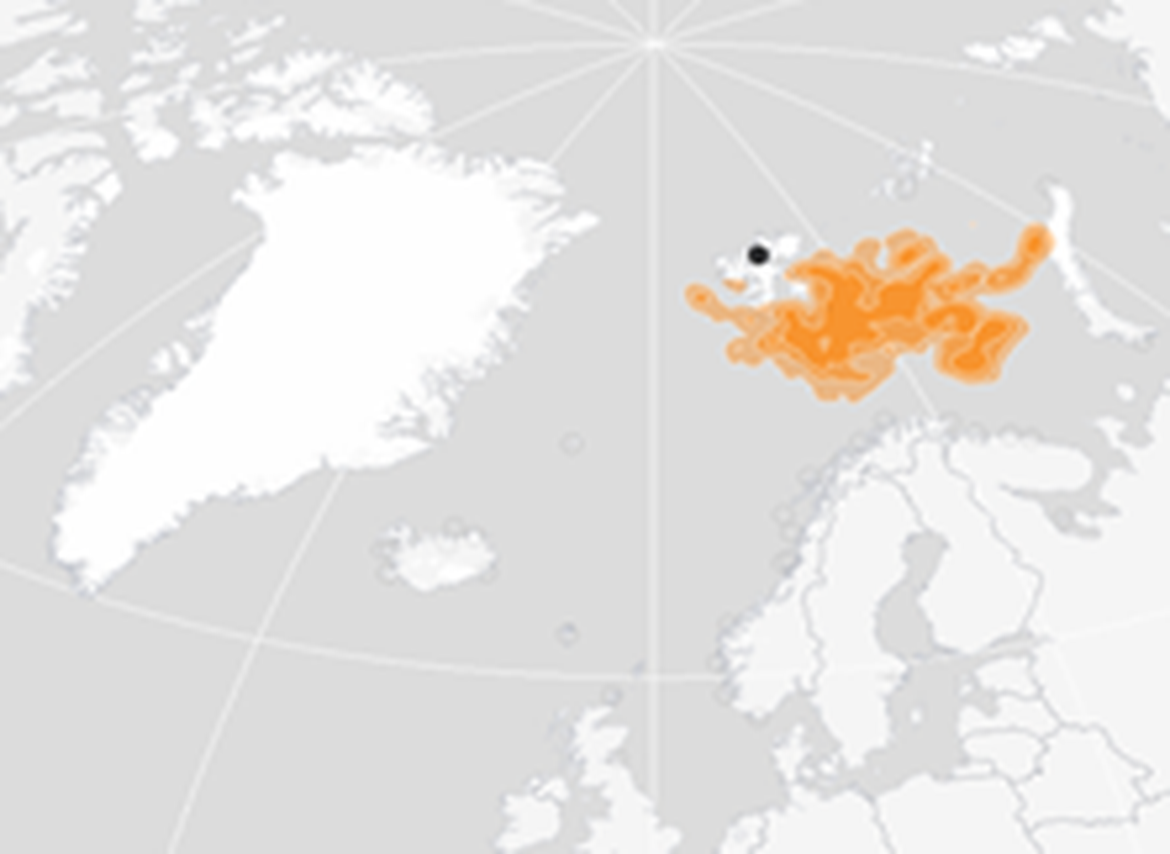 Figure 4: Winter (November – January) distribution of BRGUs from the Alkefjellet colony in East Spitsbergen (indicated as black dot) 2015-2019 (Seatrack, 2020a). Figure 4: Winter (November – January) distribution of BRGUs from the Alkefjellet colony in East Spitsbergen (indicated as black dot) 2015-2019 (Seatrack, 2020a).