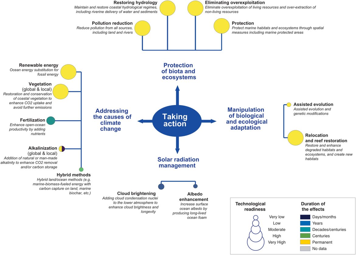 Figure 6.2:  Potential ocean solutions. Four main groups are considered: addressing the causes of climate change (i.e., reducing anthropogenic greenhouse gas emissions or increasing the long-term removal of greenhouse gases, primarily CO2), solar radiation management, protection of biota and ecosystems (e.g., habitats, species, resources), and manipulation of biological and ecological adaptation. From Gattuso et al. 2018 (see reference for full details). Permission under CC-BY 4.0.