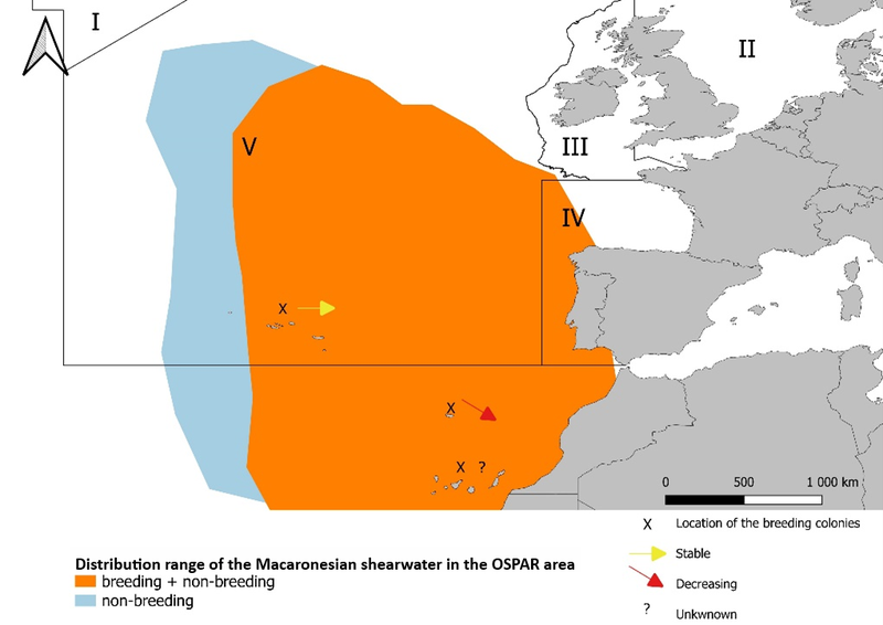 Figure 1: Macaronesian distribution range at the OSPAR area, combining several information sources. Figure 1: Macaronesian distribution range at the OSPAR area, combining several information sources.