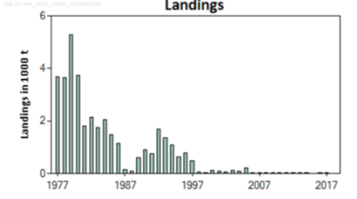 Figure 2: Basking shark landings in the Northeast Atlantic based on ICES landings (tonnes) of basking sharks in subareas 1–14 from 1977 to 2018. (Source: ICES 2019b)