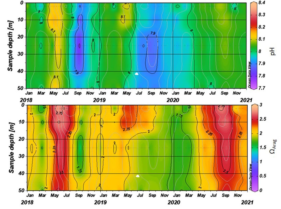 Figure 3.17: Seasonal cycle of pH (top panel) and aragonite saturation state (ΩArag; bottom panel) through water column at WCO L4 station in the Greater North Sea (OSPAR Region II).