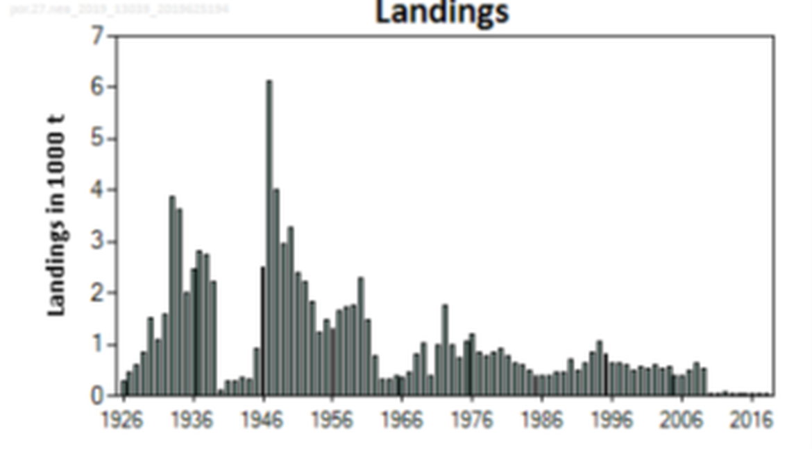 Figure 2: Porbeagle landings in the Northeast Atlantic based on available landings data (tonnes). (Source: ICES 2019b).