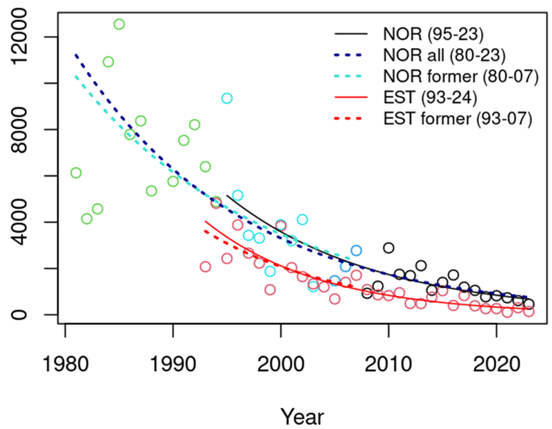 Figure 2: The number of wintering Steller’s Eider Polysticta stelleri along the Norwegian north-east coast during the period 1980-2023 (green, turquoise and blue represents older data from Norway), (black dots represents BirdLife Norway recent data), supplemented with survey data from Estonia (red dots). Note solid lines, indicating a steeper decline during the last three decades compared to knowledge from the last assessment (dotted lines).