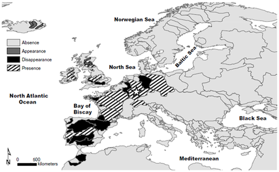 Figure 2: Projection of Allis shad (Alosa alosa) distribution in 2100 under a pessimistic climate change scenario. Adapted from Lassalle et al.(2008).