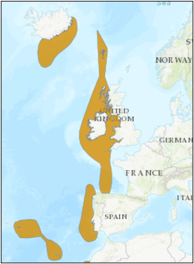 Figure 1: Distribution of leafscale gulper shark. Note: This distribution is not considered fully accurate, given that leafscale gulper shark does not occur in the Irish Sea and Bristol Channel. Source: IUCN https://www.iucnredlist.org/species/41871/10581731