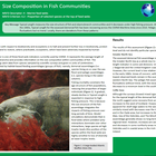 Size Composition in Fish Communities