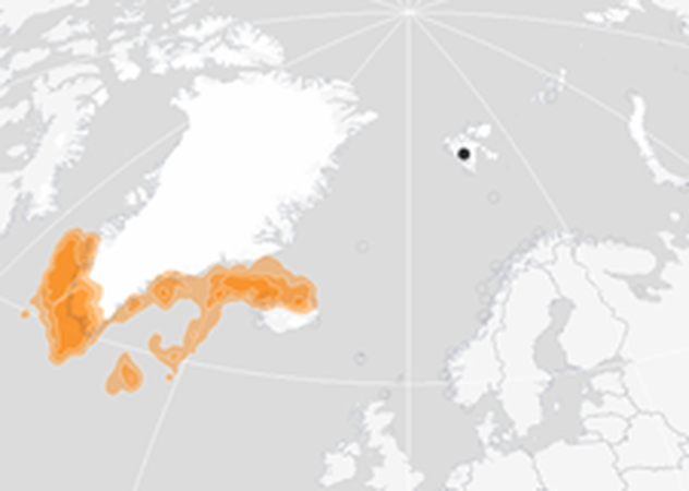 Figure 3: Winter (November – January) distribution of BRGUs from the Isfjorden colony in West Spitsbergen (indicated by black dot) 2013-2019 (Seatrack, 2020c). Figure 3: Winter (November – January) distribution of BRGUs from the Isfjorden colony in West Spitsbergen (indicated by black dot) 2013-2019 (Seatrack, 2020c).