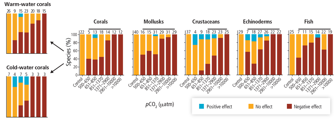 Figure 5.2: Overall sensitivity (positive, no or negative effect) observed across different groups of species (y-axis) to various levels of pCO2 (x-axis), based on laboratory experiments. The numbers located on the top of the bars are used to indicate the number of studies collated under that treatment of pCO2.