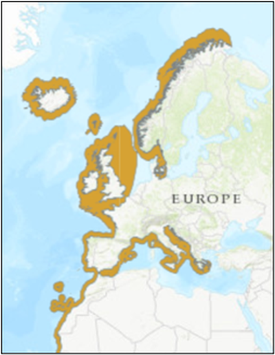 Figure 1: Geographic distribution map of common skate complex species. The distributions of the two species in the southern parts of the area shown, including the Mediterranean, are uncertain. Source: https://www.iucnredlist.org/species/39397/10198950#geographic-range Figure 1: Geographic distribution map of common skate complex species. The distributions of the two species in the southern parts of the area shown, including the Mediterranean, are uncertain. Source: https://www.iucnredlist.org/species/39397/10198950#geographic-range