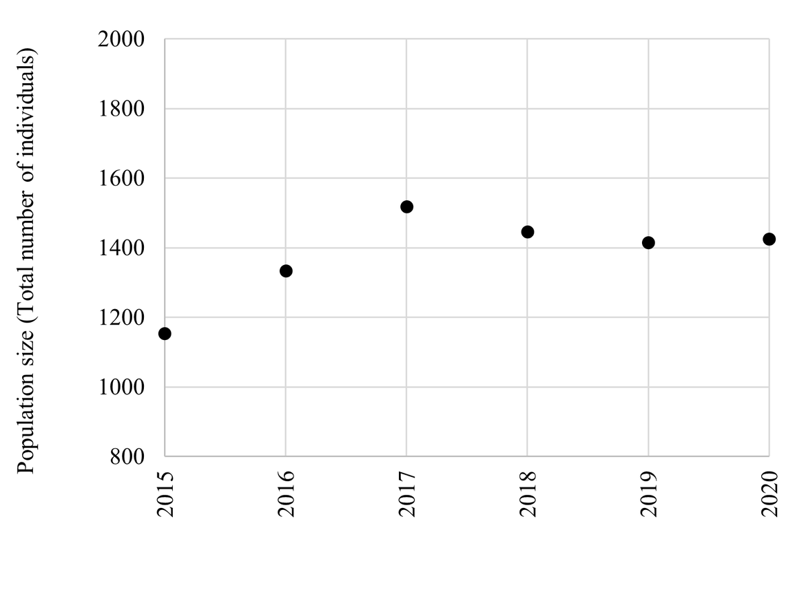 Figure 8: Population trends of BRGUs at the Alkefjellet colony in East Svalbard 2015 – 2020. The numbers represent the total number of individuals in study plots during the incubation period (unpublished data, Descamps, S., NPI). Figure 8: Population trends of BRGUs at the Alkefjellet colony in East Svalbard 2015 – 2020. The numbers represent the total number of individuals in study plots during the incubation period (unpublished data, Descamps, S., NPI).