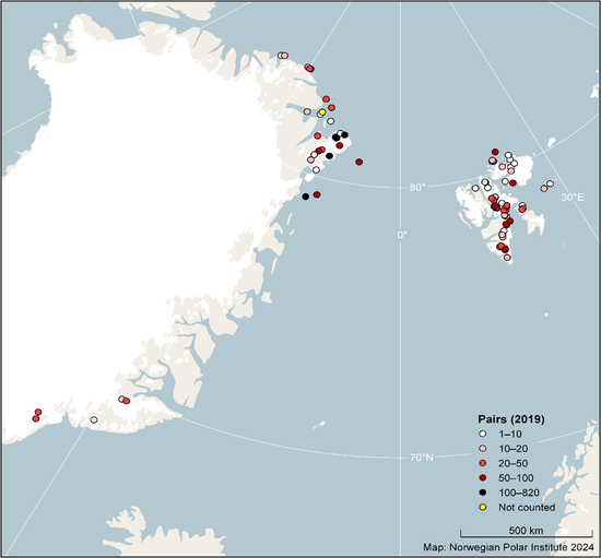 Figure 1: Location and size of occupied ivory gull colonies in Greenland and Svalbard based on an aerial survey carried out in 2019. Data from Greenland Seabird Colony Database, maintained by the Danish Centre for Environment and Energy, Aarhus University, and Greenland Institute of Natural Resources, Norwegian seabird monitoring program SEAPOP (www.seapop.no), MOSJ (Environmental Monitoring of Svalbard and Jan Mayen (www.mosj.no) and the Norwegian Polar Institute seabird databases. Figure 1: Location and size of occupied ivory gull colonies in Greenland and Svalbard based on an aerial survey carried out in 2019. Data from Greenland Seabird Colony Database, maintained by the Danish Centre for Environment and Energy, Aarhus University, and Greenland Institute of Natural Resources, Norwegian seabird monitoring program SEAPOP (www.seapop.no), MOSJ (Environmental Monitoring of Svalbard and Jan Mayen (www.mosj.no) and the Norwegian Polar Institute seabird databases.