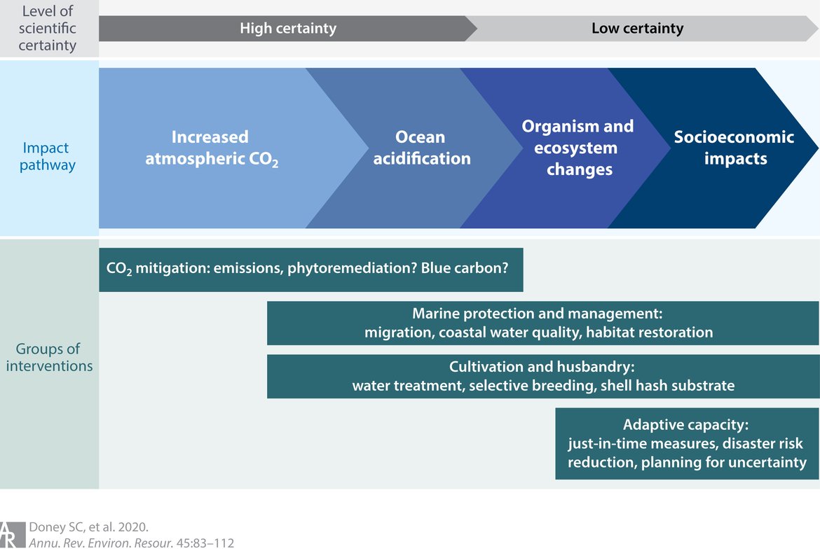 Figure 6.3: Impact pathway from increased atmospheric carbon dioxide (CO2) to changes in social-ecological systems. Gray band indicates level of scientific certainty. Teal green blocks show the groups of interventions  that are frequently proposed to directly decrease harm from ocean acidification on social-ecological systems. Figure from Doney et al., 2020. Permission under CC-BY 4.0.