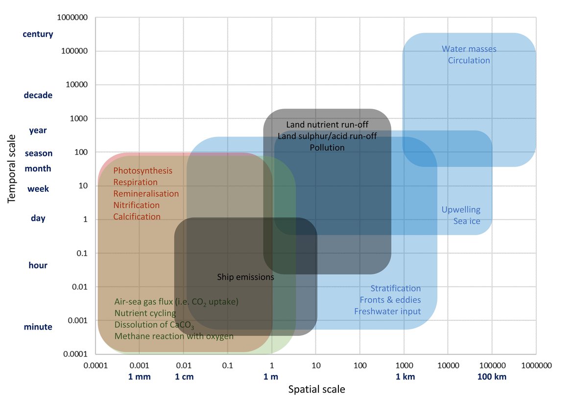 Figure 3.3: Simplified schematic overview on physical (blue boxes), chemical (green boxes), biological (red boxes) and anthropogenic (black boxes) processes that contribute to changes in ocean carbonate chemistry on different temporal and spatial scales.