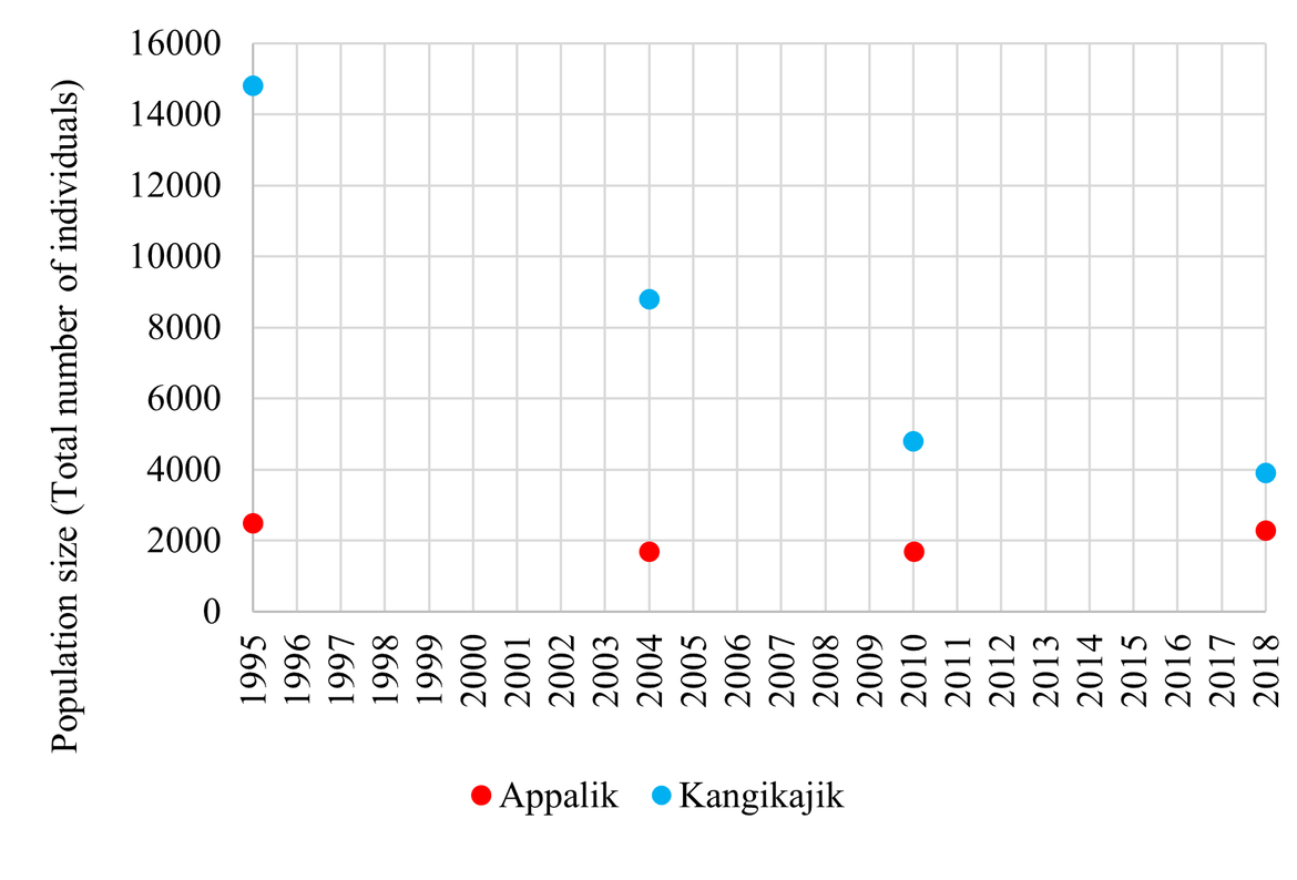 Figure 6: Population trends of BRGUs in East Greenland colonies (Appalik and Kangikajiik) 1995 – 2018. Population estimates for 1995, 2004, and 2010 were provided by Merkel, F. and reported as the number of individuals. For 2018, the number of breeding pairs was reported in Boertmann et al. (2020) and was converted into the number of individuals for comparison using a converting factor of 0.7 (number of pairs = 0.7 * number of individuals). The counts have not been adjusted for the potential diurnal variation in colony attendance and direct comparison of these counts should be done with caution (Merkel, F., personal communication) Figure 6: Population trends of BRGUs in East Greenland colonies (Appalik and Kangikajiik) 1995 – 2018. Population estimates for 1995, 2004, and 2010 were provided by Merkel, F. and reported as the number of individuals. For 2018, the number of breeding pairs was reported in Boertmann et al. (2020) and was converted into the number of individuals for comparison using a converting factor of 0.7 (number of pairs = 0.7 * number of individuals). The counts have not been adjusted for the potential diurnal variation in colony attendance and direct comparison of these counts should be done with caution (Merkel, F., personal communication)