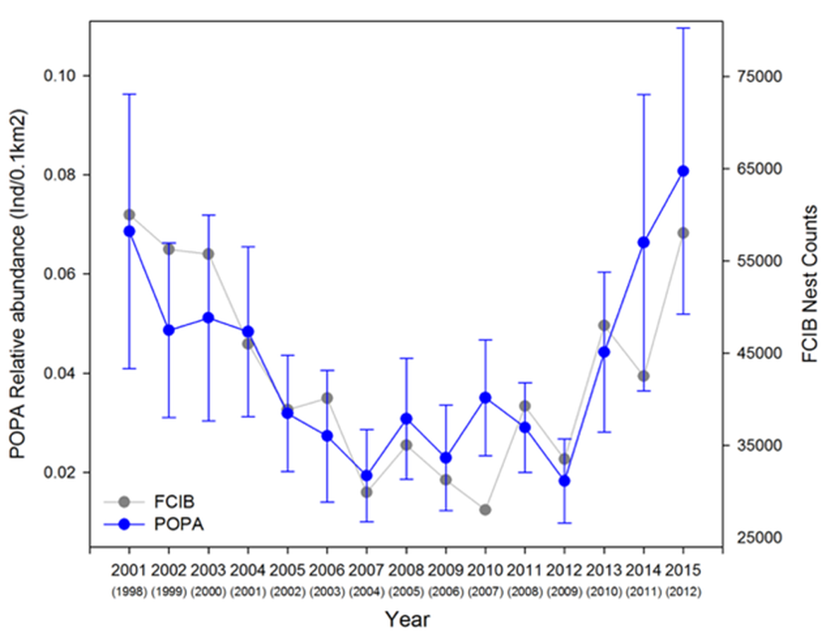 Figure 6: General additive mixed model-derived annual indices of relative abundance (Ind./0,1 km2; ± BSE) of loggerhead turtles in the Azores calculated from the POPA (Programa de Observação das Pescas dos Açores) visual sightings database (2001-2015), compared with annual nest counts from Florida core index beaches (Index Nesting Beach Survey - Florida Fish and Wildlife Conservation Commission; 1998-2012). The X-axis shows the year of the POPA sightings, matched with the year from the annual nest counts from Florida core index beaches in parentheses, assuming a 3-year lag. Blue – POPA visual sightings; Grey - annual nest counts from Florida core index beaches (from Vandeperre et al. 2019).