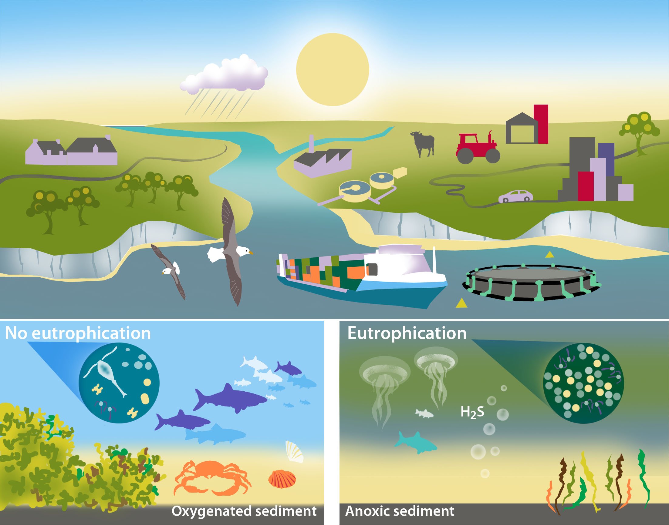 Third OSPAR Integrated Report on the Eutrophication Status of the OSPAR