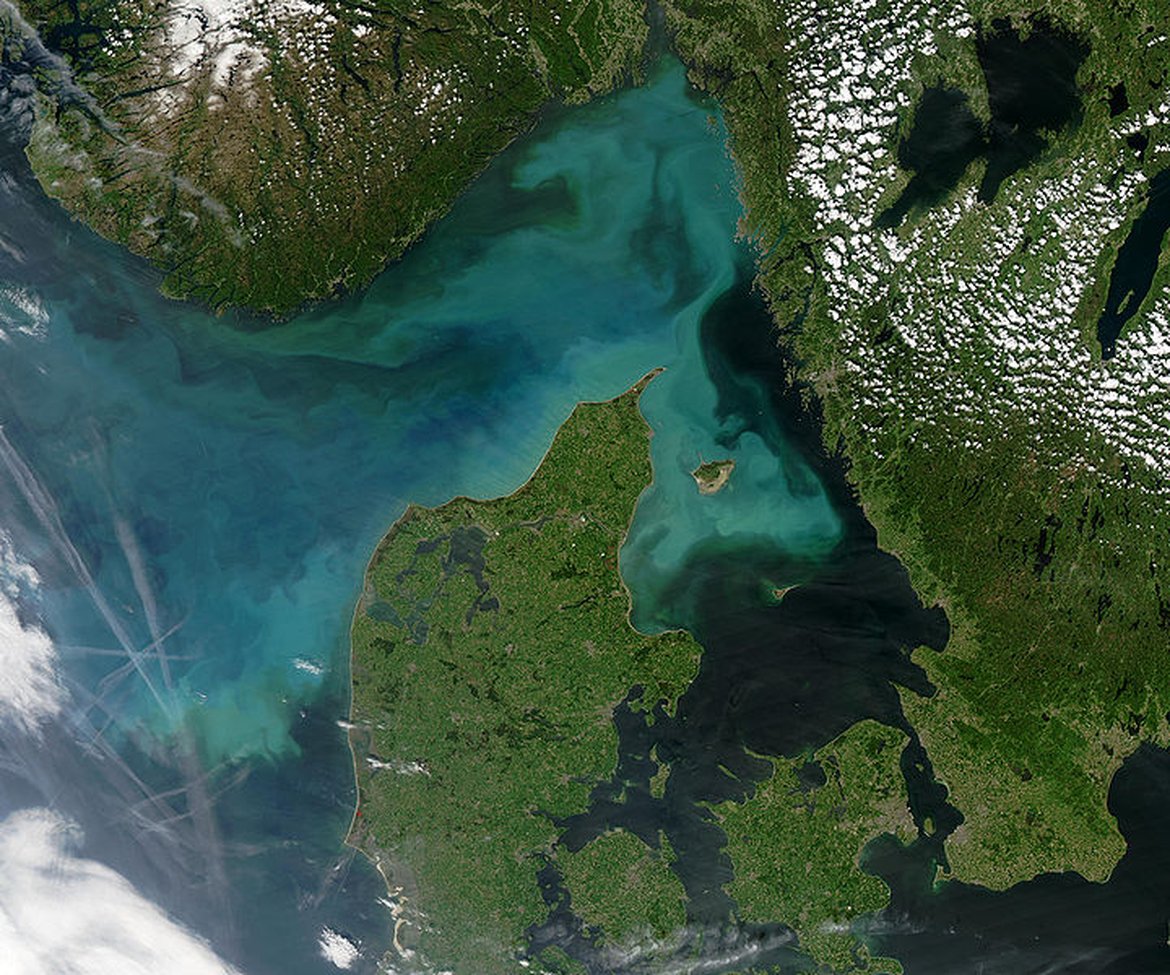 NASA Satellite imagery of bloom in Skaggerak and Kattegat Seas © NASA