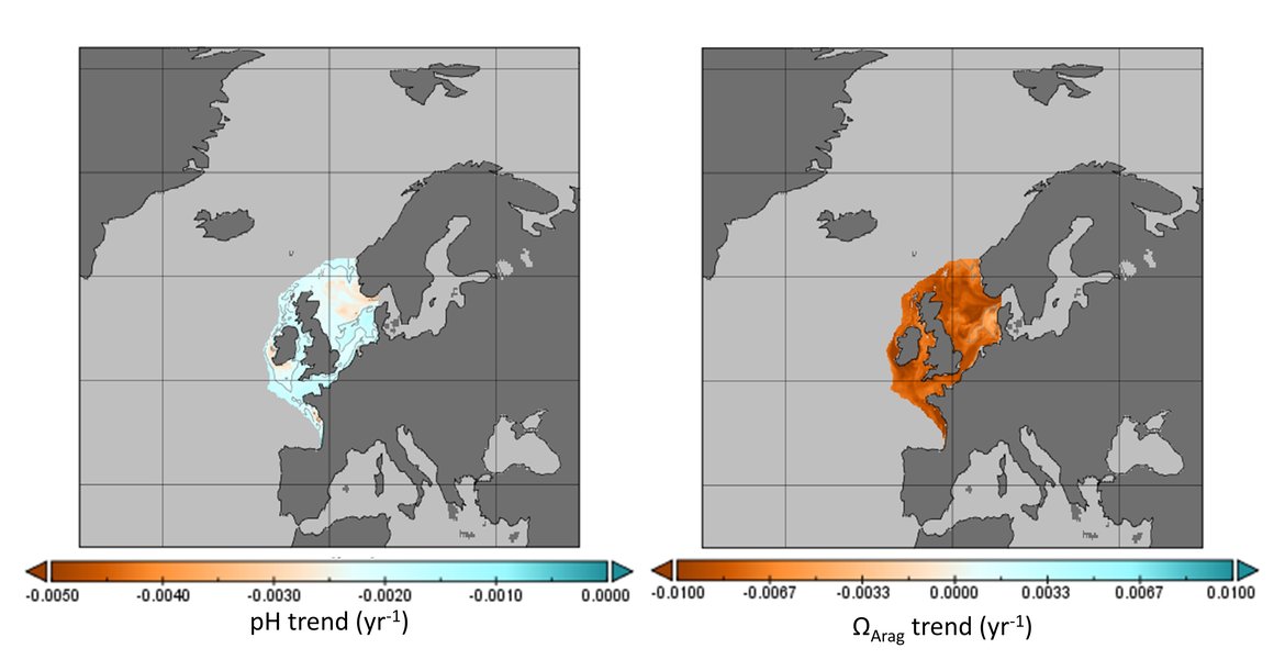 Figure 3.18: Mean bottom water trends across the Greater North Sea (OSPAR Regions II), the Celtic Seas (OSPAR Region III), and the Bay of Biscay and Iberian Coast (OSPAR Region IV) for pH (left panel) and aragonite saturation state (ΩArag; right panel) from NEMO-ERSEM, where water depth < 200 m.