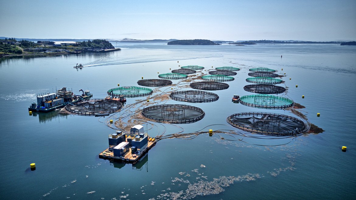 Figure 2: Open cage fish farms are a source of nutrients to the surrounding waters. © https://www.shutterstock.com