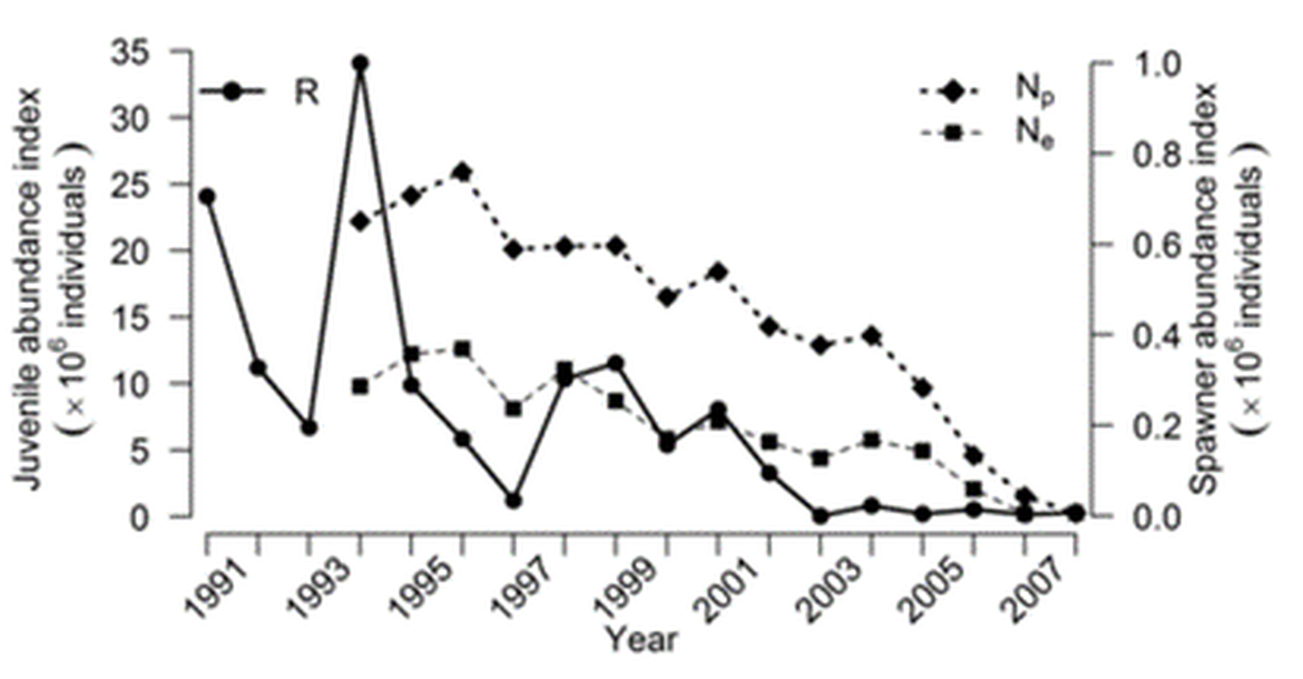 Figure 3: Abundance estimates of juveniles (left y-axis; R) and of potential and effective spawners (right y-axis; Np (estimate of potential spawners) and Ne (estimate of effective spawners), respectively), 1991–2008 in the Gironde river. Adapted from Rougier et al. (2021)