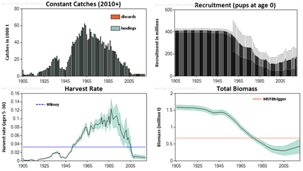 Figure 2: Spurdog in subareas 1–10, 12, and 14. Summary of the stock assessment. Long-term trends in catches (including assumed discards since 2010), mean harvest rate (average ages 5–30), recruitment (number of pups), and total biomass. Shaded areas in the bottom panels reflect estimates of precision (±2 standard deviation) and horizontal lines indicate the associated MSY reference points. The final-year recruitment estimate is provisional, taken from the estimated stock–recruitment relationship (ICES 2020). For original figure see: https://www.ices.dk/sites/pub/Publication%20Reports/Advice/2020/2020/dgs.27.nea.pdf